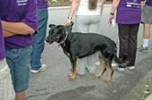 Enlarge photo 32