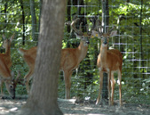 Enlarge photo 26