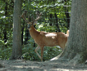 Enlarge photo 27