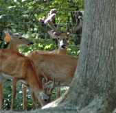 Enlarge photo 30