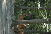 Enlarge photo 34