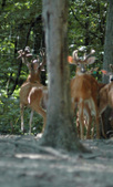 Enlarge photo 35