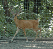 Enlarge photo 36