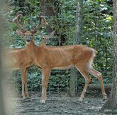 Enlarge photo 38