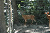 Enlarge photo 40