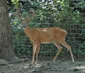 Enlarge photo 39
