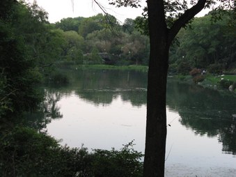 Enlarge photo 107