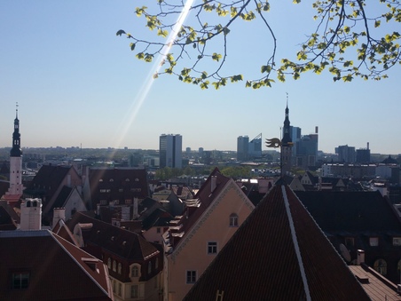 Enlarge photo 212