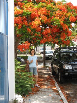 Enlarge photo 6