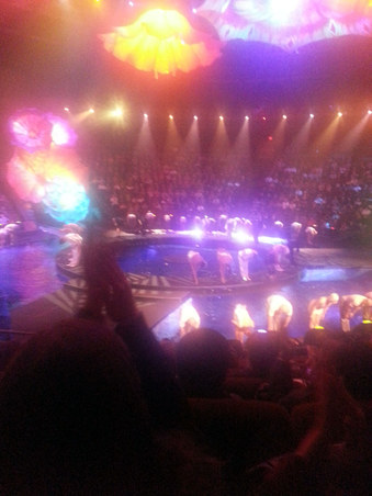 Enlarge photo 57
