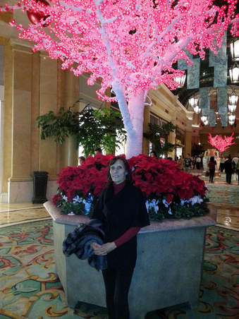 Enlarge photo 73