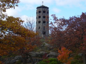 Enlarge photo 11