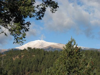 Enlarge photo 12