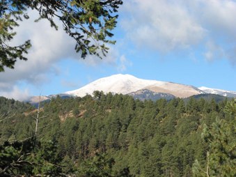 Enlarge photo 10