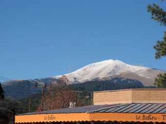 Enlarge photo 11