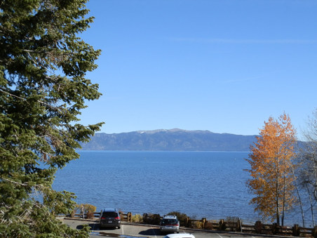 Enlarge photo 67