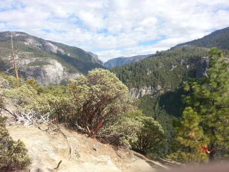 Enlarge photo 46