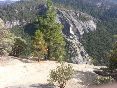 Enlarge photo 16