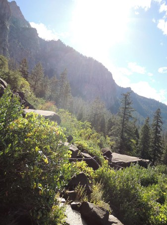 Enlarge photo 31