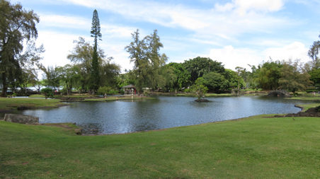 Enlarge photo 13