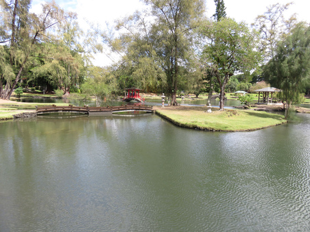 Enlarge photo 9