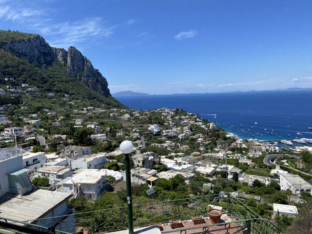 Enlarge photo 82