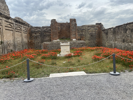 Enlarge photo 54
