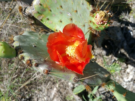 Enlarge photo 38