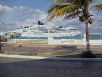 Enlarge photo 43