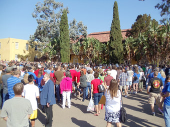 Enlarge photo 14