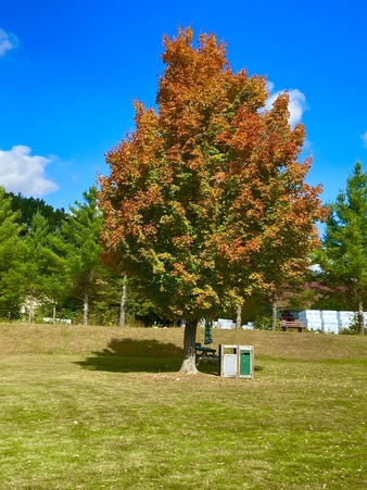 Enlarge photo 106
