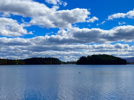 Enlarge photo 107