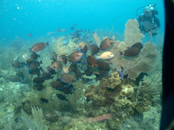 Enlarge photo 26