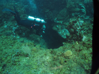Enlarge photo 37