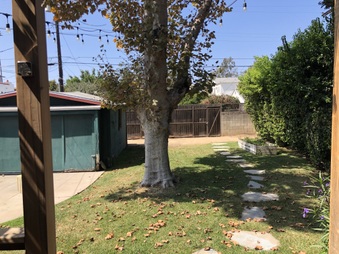 Enlarge photo 17