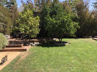 Enlarge photo 17