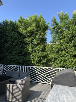 Enlarge photo 139