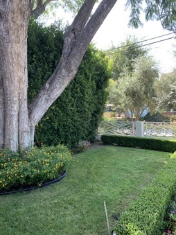 Enlarge photo 148