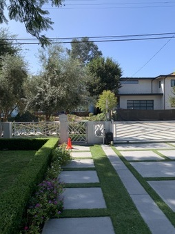 Enlarge photo 149