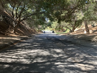 PARK