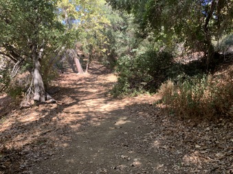 Enlarge photo 6