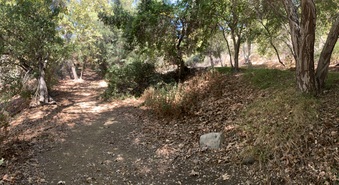 Enlarge photo 10