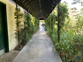 Enlarge photo 7