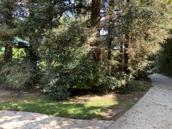 Enlarge photo 13