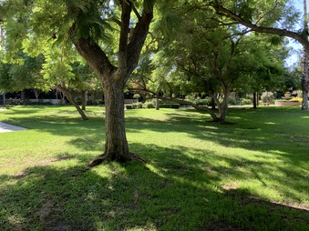 Enlarge photo 18