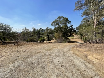 Enlarge photo 7