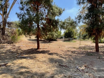 Replacement for Disney Ranch