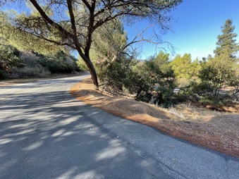 Mt Hollywood Section #1
