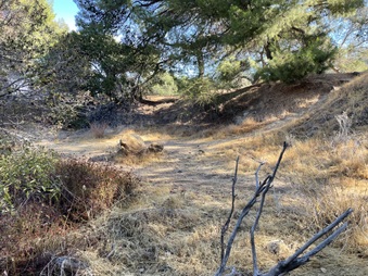 Enlarge photo 8