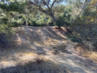 Enlarge photo 4